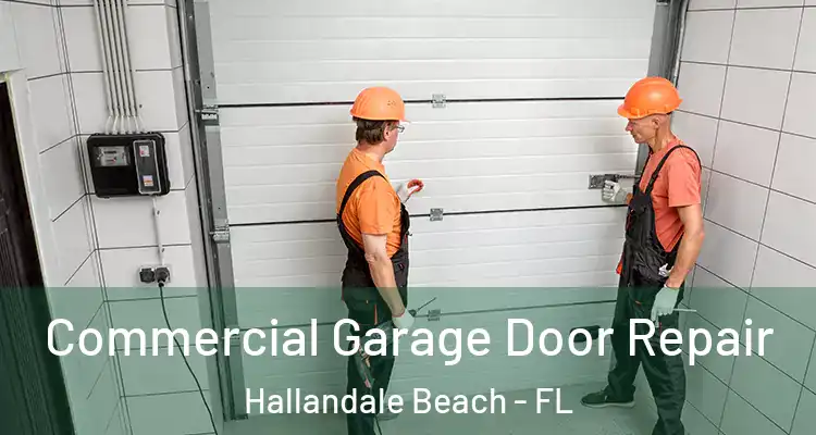  Commercial Garage Door Repair Hallandale Beach - FL