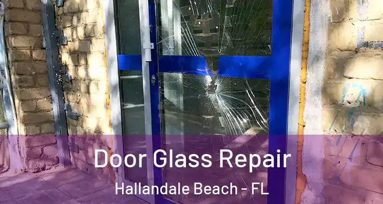  Door Glass Repair Hallandale Beach - FL