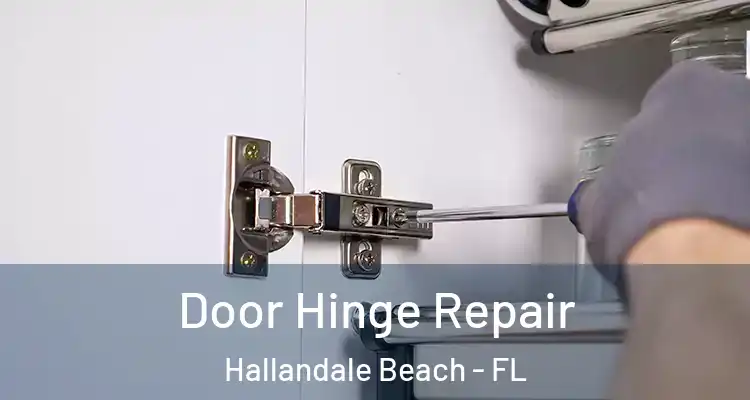  Door Hinge Repair Hallandale Beach - FL