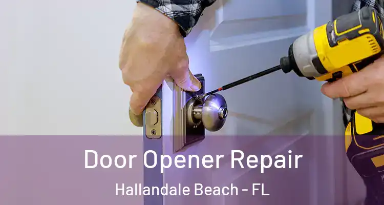  Door Opener Repair Hallandale Beach - FL