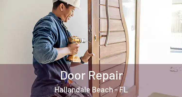 Door Repair Hallandale Beach - FL