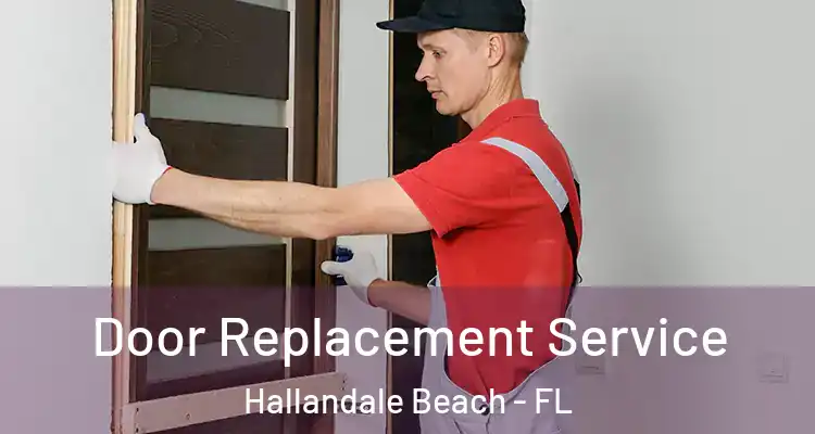  Door Replacement Service Hallandale Beach - FL