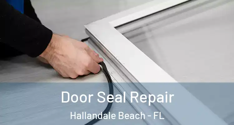 Door Seal Repair Hallandale Beach - FL