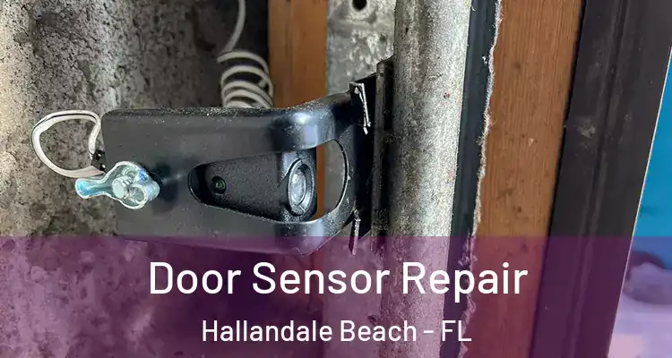  Door Sensor Repair Hallandale Beach - FL