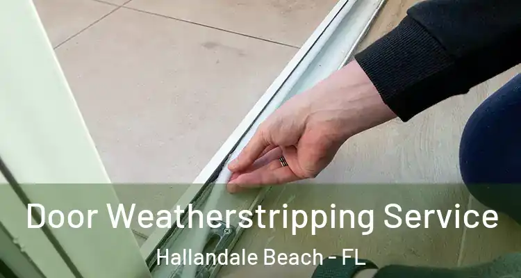  Door Weatherstripping Service Hallandale Beach - FL
