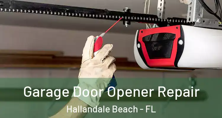  Garage Door Opener Repair Hallandale Beach - FL
