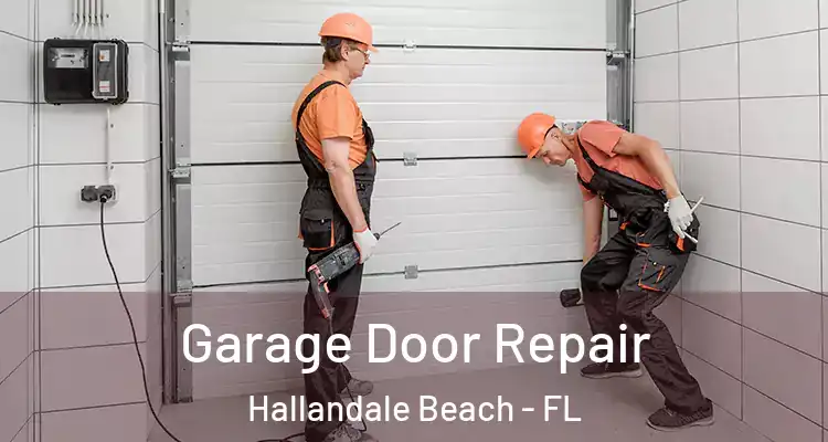  Garage Door Repair Hallandale Beach - FL