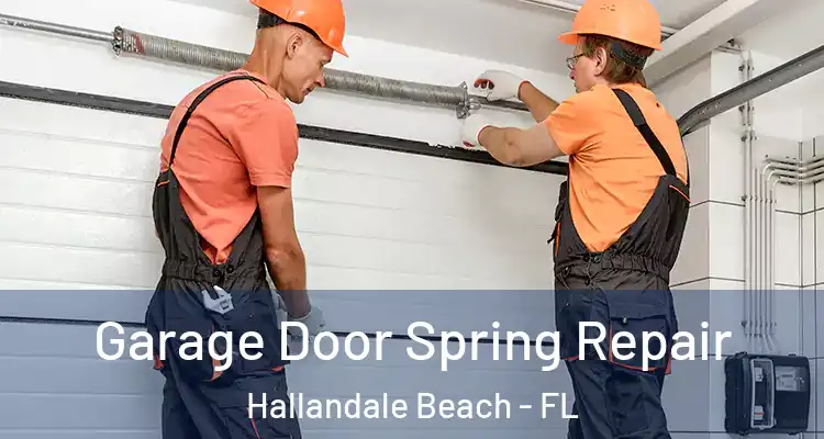  Garage Door Spring Repair Hallandale Beach - FL