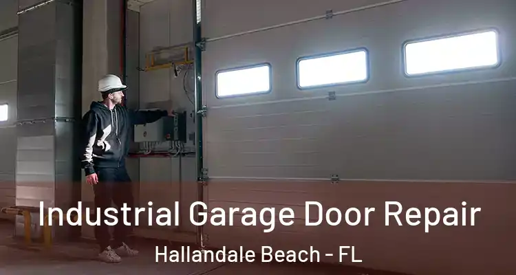  Industrial Garage Door Repair Hallandale Beach - FL