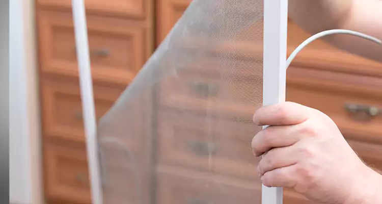 Privacy Mesh Screen Door Installation in Hallandale Beach, FL