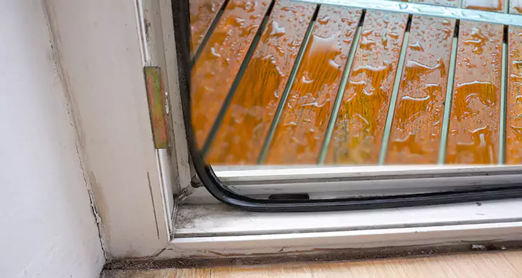 Water Leaking Wooden Patio Doors Repair in Hallandale Beach, FL