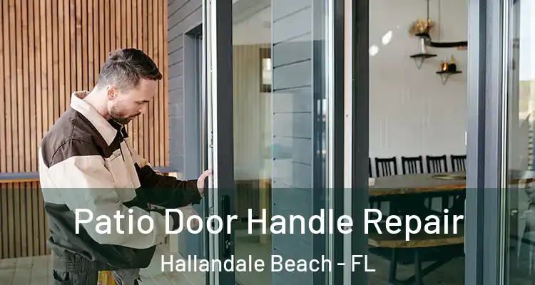  Patio Door Handle Repair Hallandale Beach - FL