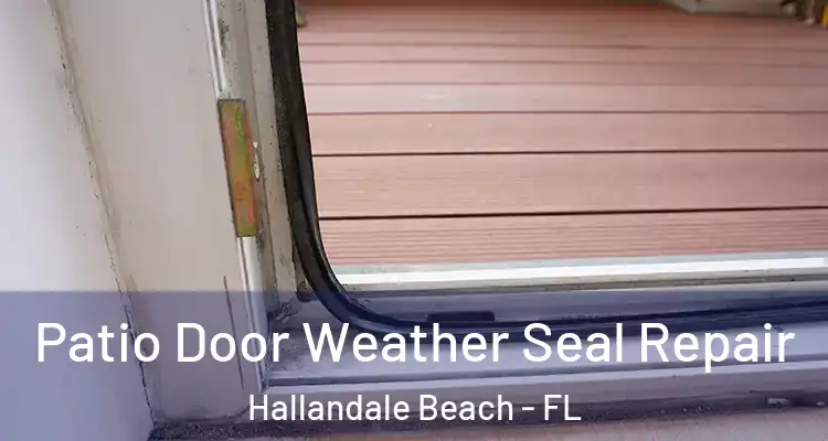  Patio Door Weather Seal Repair Hallandale Beach - FL