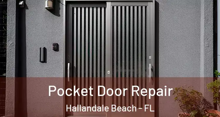  Pocket Door Repair Hallandale Beach - FL
