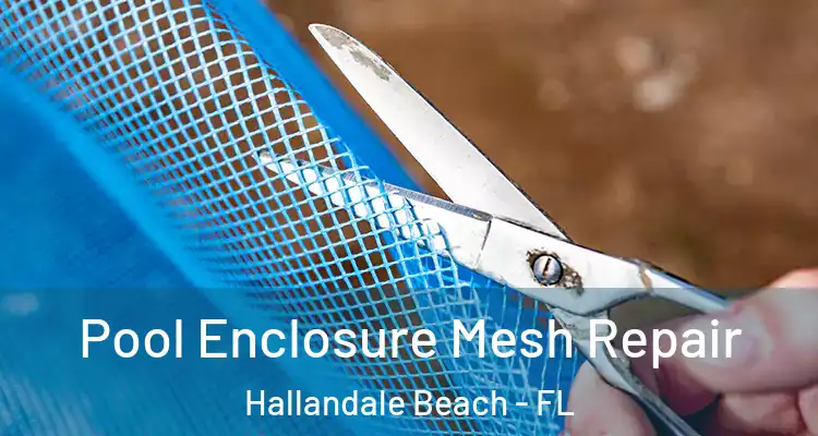  Pool Enclosure Mesh Repair Hallandale Beach - FL