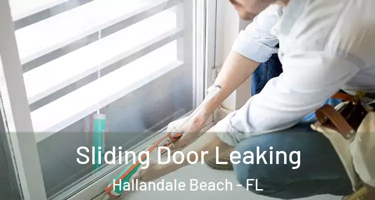  Sliding Door Leaking Hallandale Beach - FL