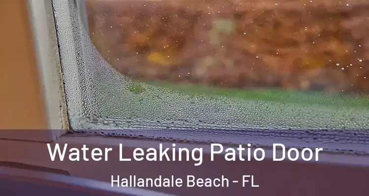  Water Leaking Patio Door Hallandale Beach - FL